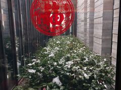 -上海崇明金茂凯悦酒店