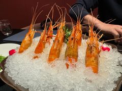 -醉东Oriental House(静安嘉里中心店)