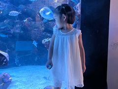 -海合安成都极地海洋公园