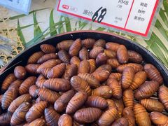 -万龙洲海鲜(南新仓店)