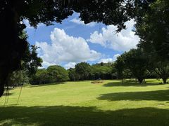 -莲花山公园