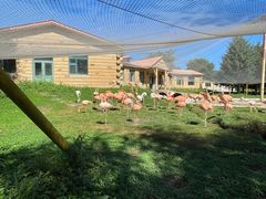 -哈尔滨北方森林动物园