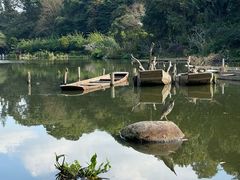 -深圳仙湖植物园