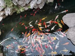 -西林禅寺