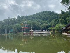 -西双版纳原始森林公园
