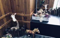 点击看大图 -清潭洞韩国儿童摄影(杏林店)