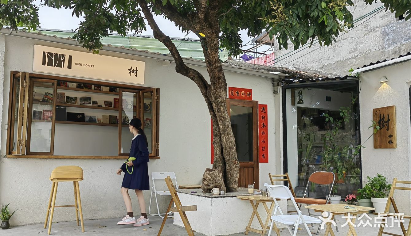 树下，一杯咖啡一本书。
