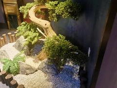 -陆琴脚艺·足浴·SPA(夫子庙店)