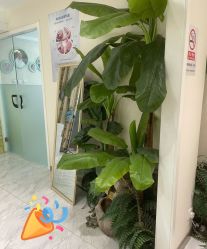 -健身堂科技美肌SPA