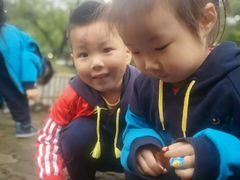 -上海贝贝佳幼儿园