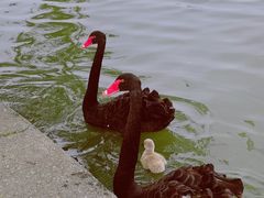 -东华大学(松江校区)