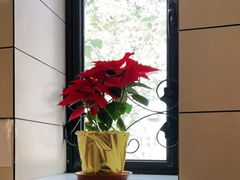 -红房子西菜馆(淮海中路店)