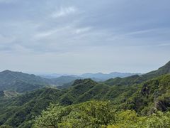 -六里坪国家森林公园