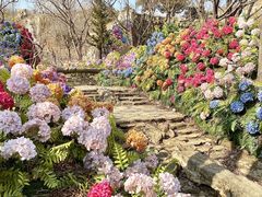-沂蒙云瀑洞天景区