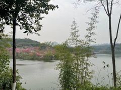 -重庆园博园