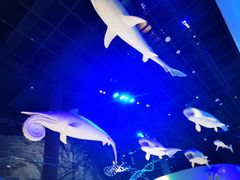 -贝林大翅鲸简餐厅(国家海洋博物馆店)