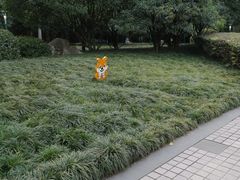 -神仙树公园