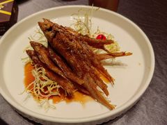 -骏莱海鲜鱼港(五角场店)