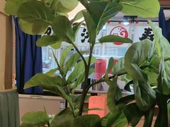 -沼津港精致料理·寿喜烧·烧鸟(漕河泾印象城店)