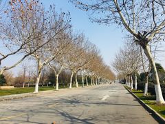 -南京航空航天大学(将军路校区)