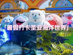 -大连圣亚海洋世界