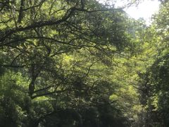 -大围山峡谷漂流