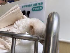 -美联众合动物医院·24h转诊中心