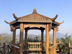 -大岭沟猕猴桃谷风景区