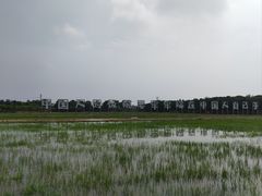 -武汉紫薇都市田园