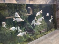 -哈尔滨波塞冬海底世界