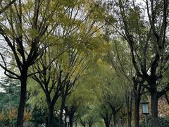 -唐城墙遗址公园