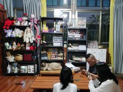 -楼上猫咖(罗湖店)