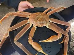 -财神日本料理(广州街总店)