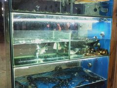 水产区-浔味·山屿湖·正宗淳牌全鱼宴老字号