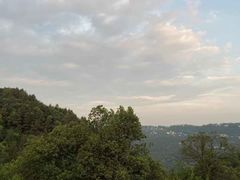 -南山植物园