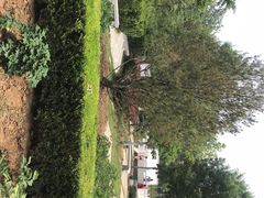-燕郊植物园