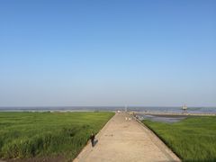 -南汇嘴观海公园