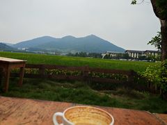 -简象咖啡CAFE ELE JANE(满陇桂雨店)