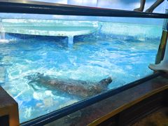 -太平洋海底世界