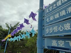 -百万葵园
