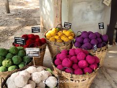 -大象粑粑造纸公园