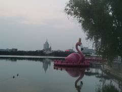 -莲花池公园
