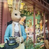 掉进爱丽丝的兔子洞！布兰兔的植物庄园下午茶