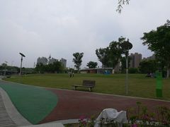 -映月湖中央公园