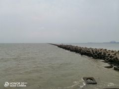 -东疆建设开发纪念公园