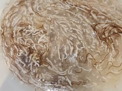 -陈记菜馆·非遗淮扬菜(东关街教场店)