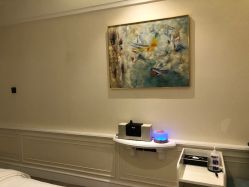 -奥斯芬欧系贵族SPA