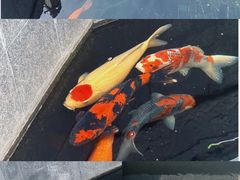 -西安市广仁寺