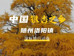 -千年银杏谷文化旅游区