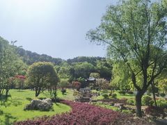 -东钱湖小普陀景区